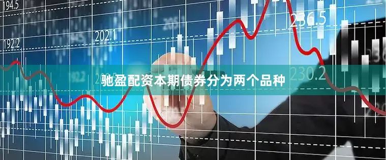 驰盈配资本期债券分为两个品种