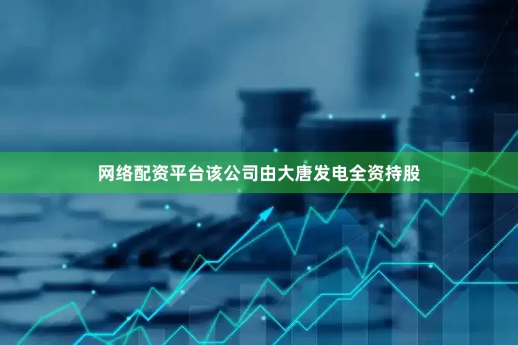 网络配资平台该公司由大唐发电全资持股
