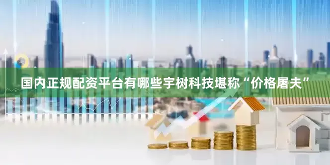 国内正规配资平台有哪些宇树科技堪称“价格屠夫”