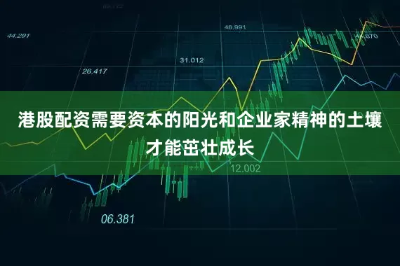 港股配资需要资本的阳光和企业家精神的土壤才能茁壮成长